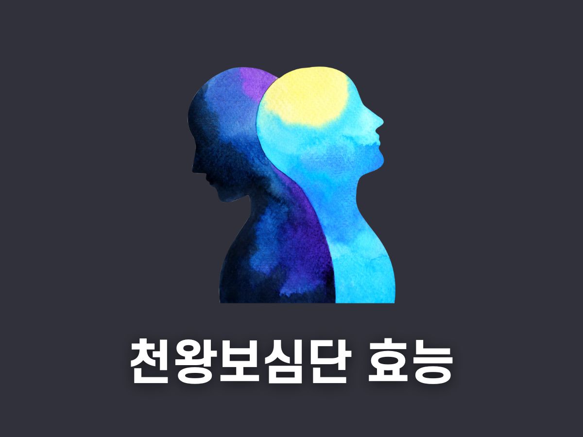 안정액 천왕보심단 효능