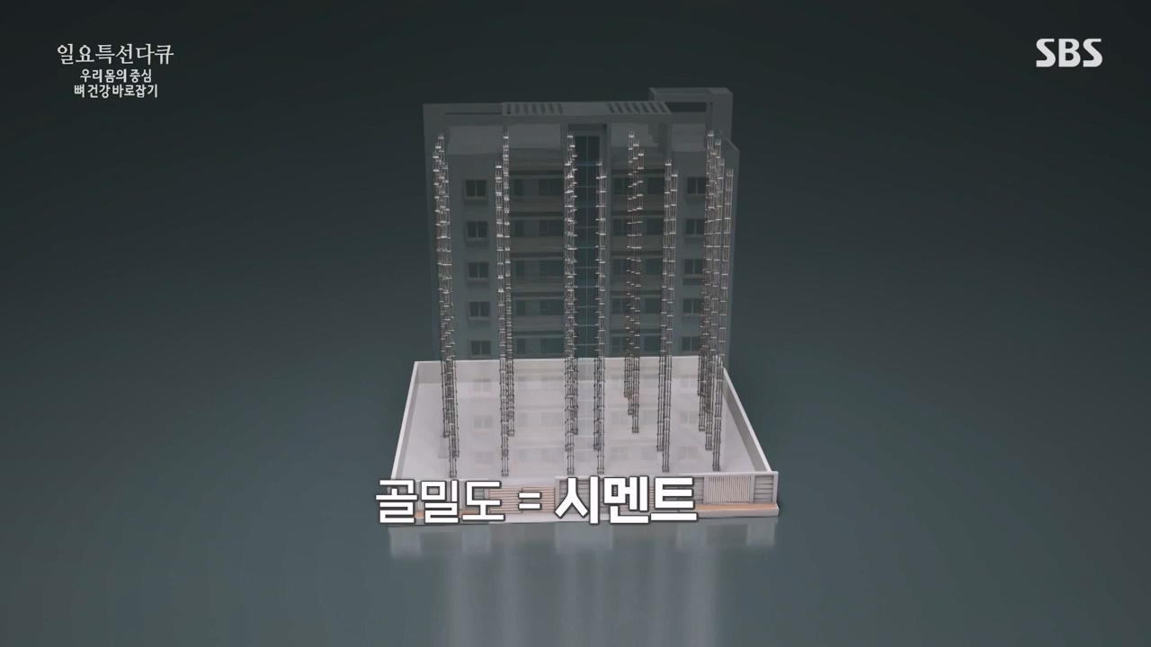 일요특선 다큐멘터리.E339.240205p-NEXT.mp4_20240206_205104.210.jpg
