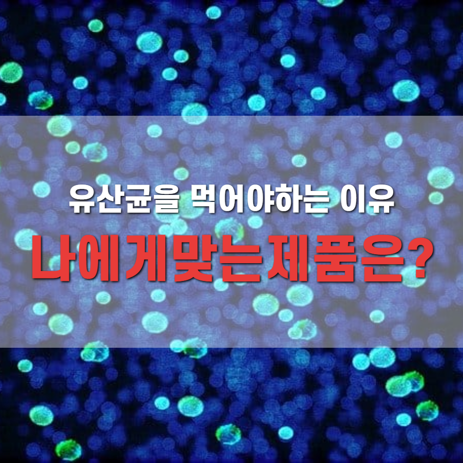  나만의 유산균 제품 고르는 법과 유산균 먹어야 하는 이유, 먹는 방법까지 알려드려요