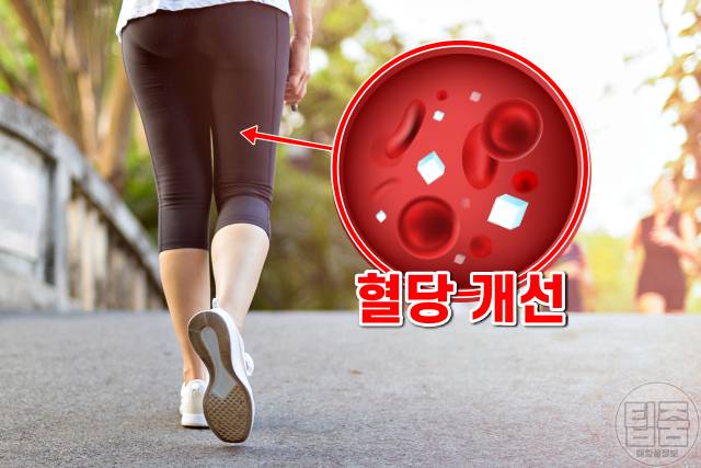 하루 30분 걷기로 피할 수 있는 암 13,하루30분걷기 효과 당뇨병 혈당