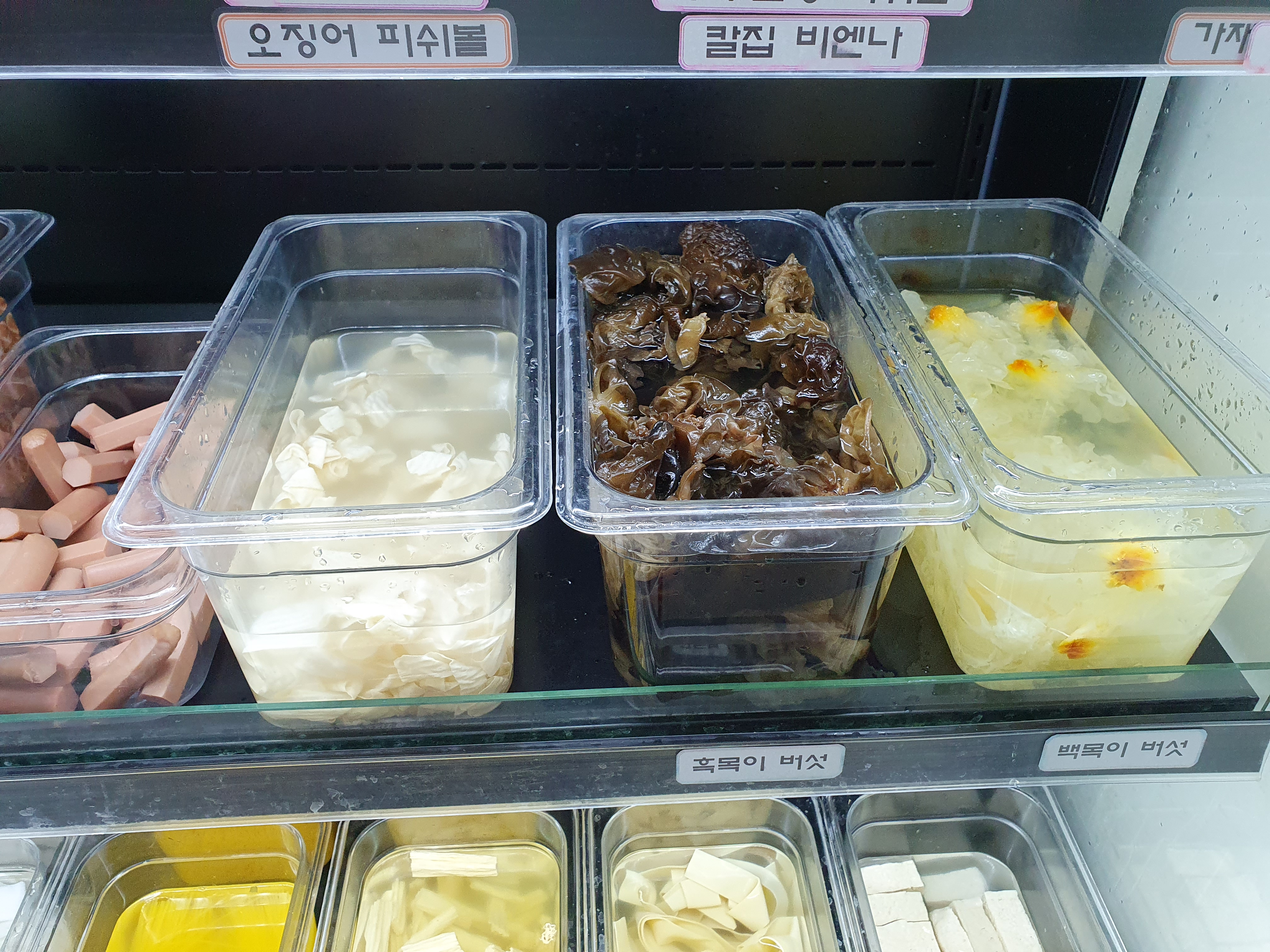 마라이츠 이미지