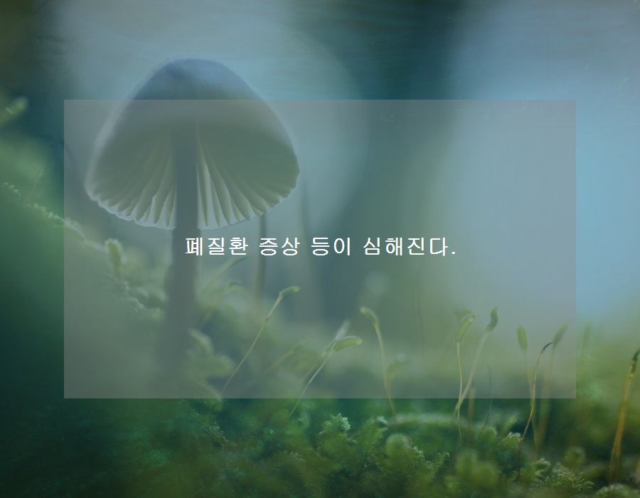 폐질환의 폐질환 증상