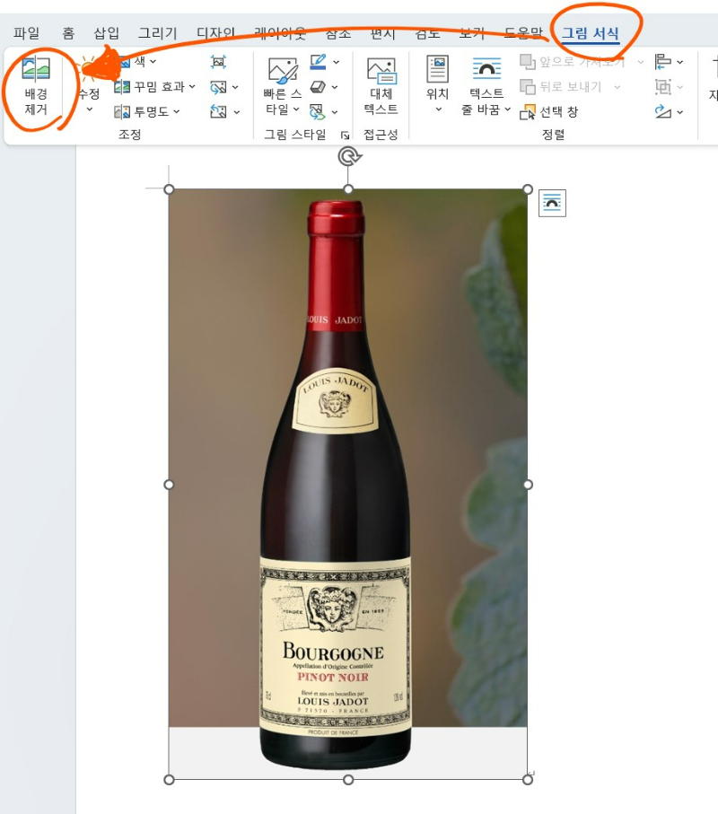 이미지 누끼따기