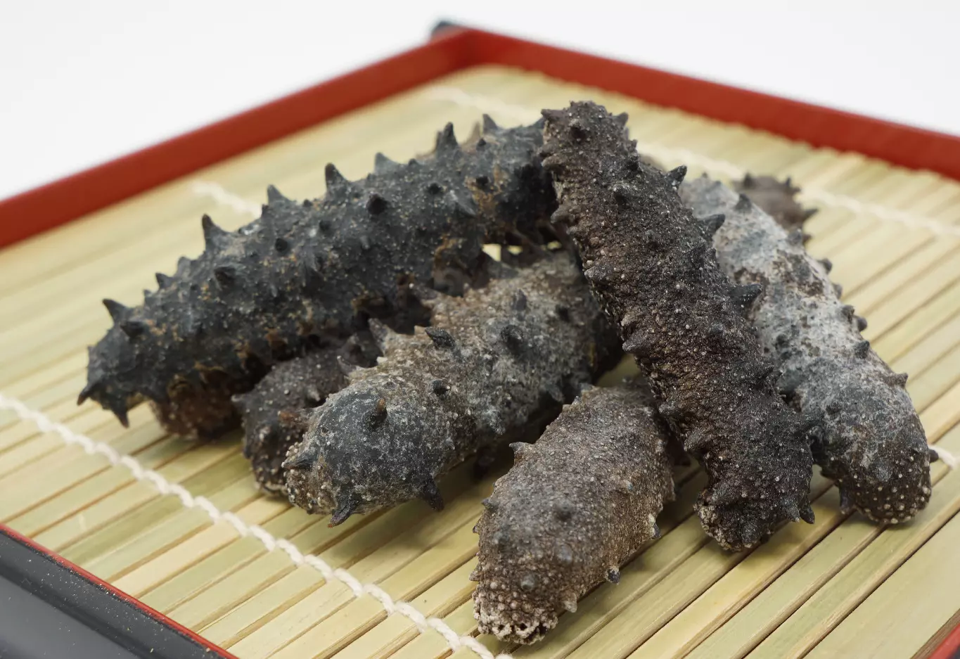  해삼(Sea cucumber) 바다의 완벽한 영양 보충제!!
