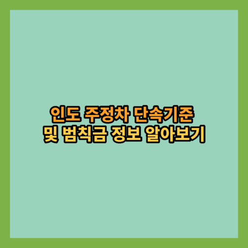 인도-주정차-단속기준-범칙금-정보