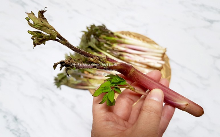 거창 대구 판매 손질 및 보관법 제철 봄나물 우도열매 - 2021년 4