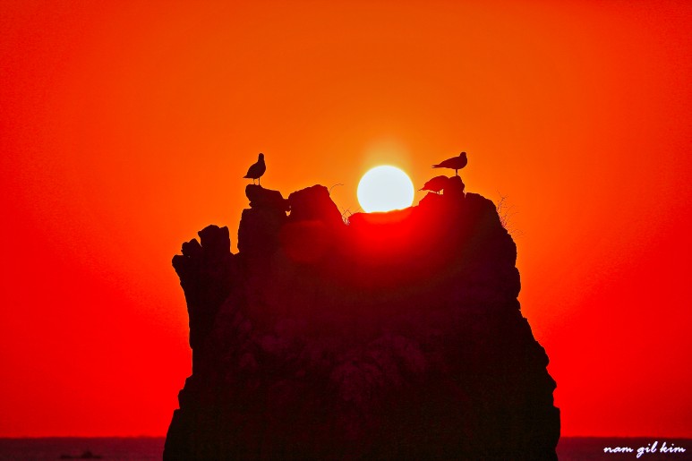 동해시 일출시간 동해안 일출명소 9