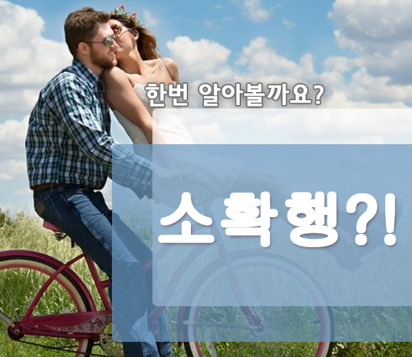  소확행 뜻 한자 영어로 한꺼번에 알아보아요!