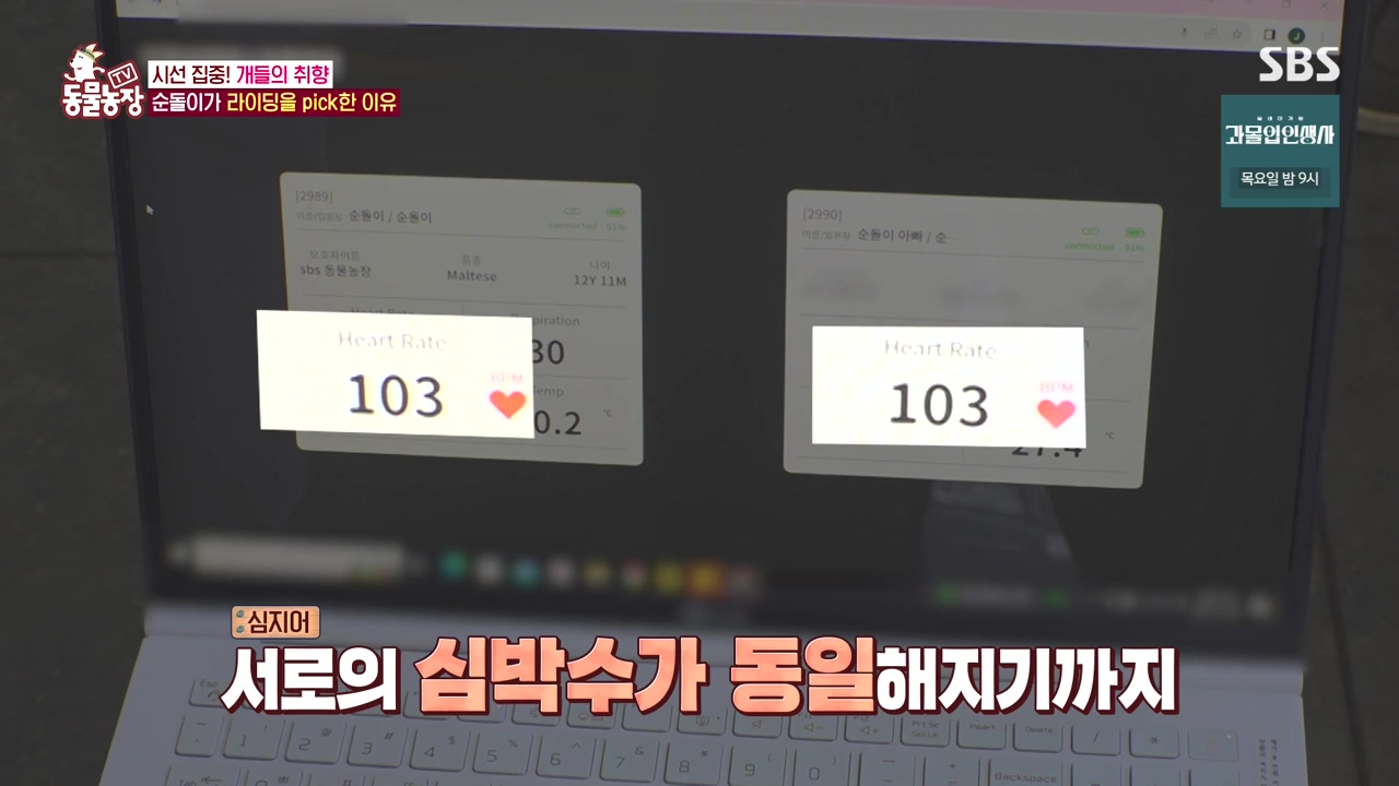 TV 동물농장.E1152.231232p-NEXT.mp4_20231231_165751.196.jpg