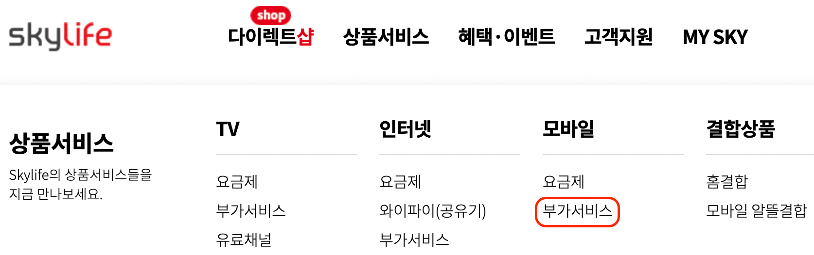 KT스카이라이프-부가서비스-가입-위치