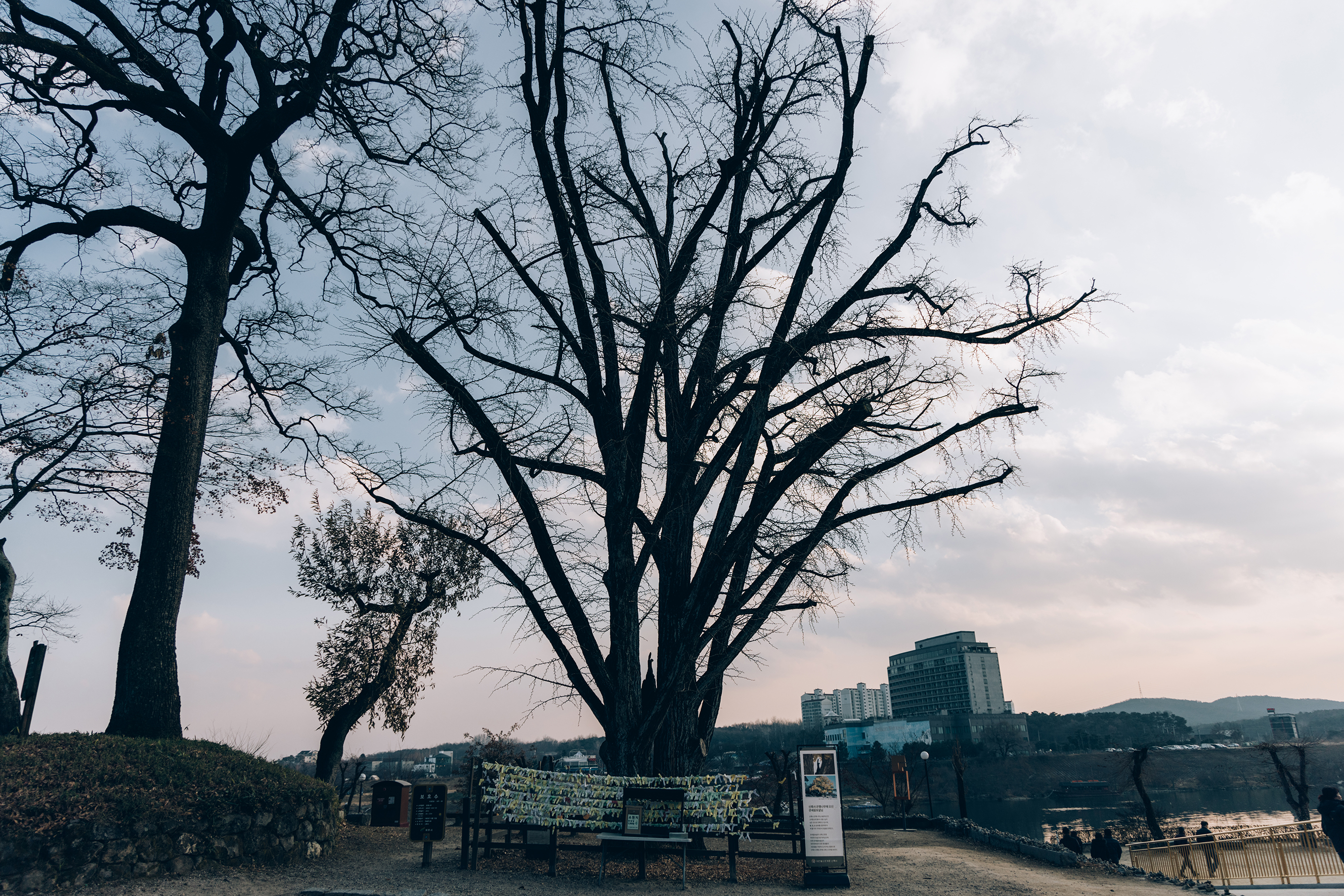 경기도 가볼만한곳&#44; 뷰맛집 남한강뷰 여주 신륵사