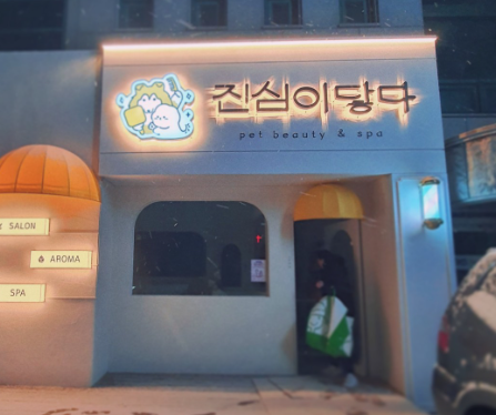 진심이 닿다