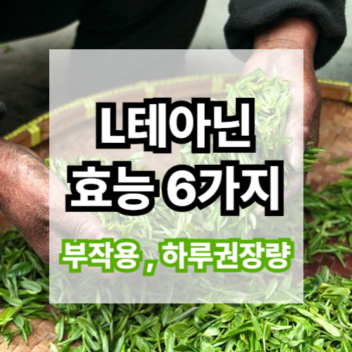 L테아닌 음식 종류