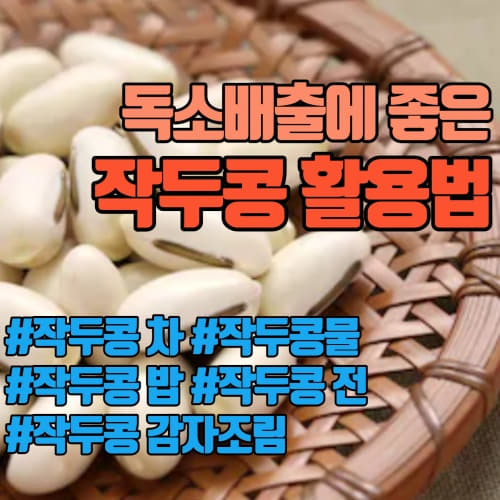  독소배출 호흡기 건강 작두콩 먹는방법 - 작두콩차 작두콩밥 작두콩 감자조림 만드는 방법