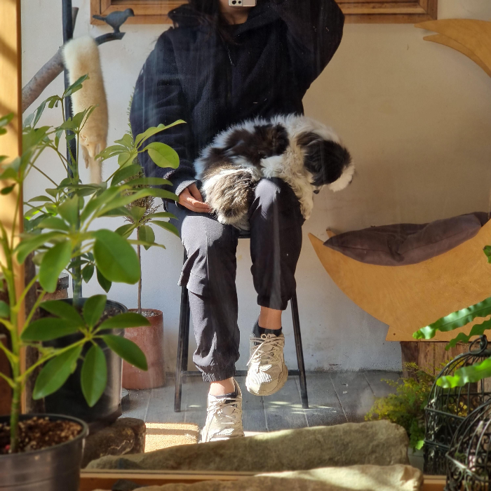 부산 금정 노포 디위드, 베이커리와 아메리카노 그리고 반려동물동반가능 - 디위드 - ℹ️ 정보 부산 금정 노포 디위드, 베이커리와 아메리카노 그리고 반려동물동반가능 - 디위드 - ℹ️ 정보