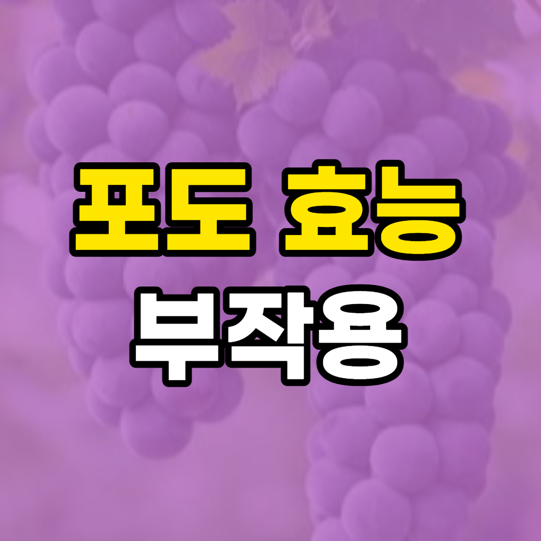  포도 효능 및 부작용, 포도 보관법