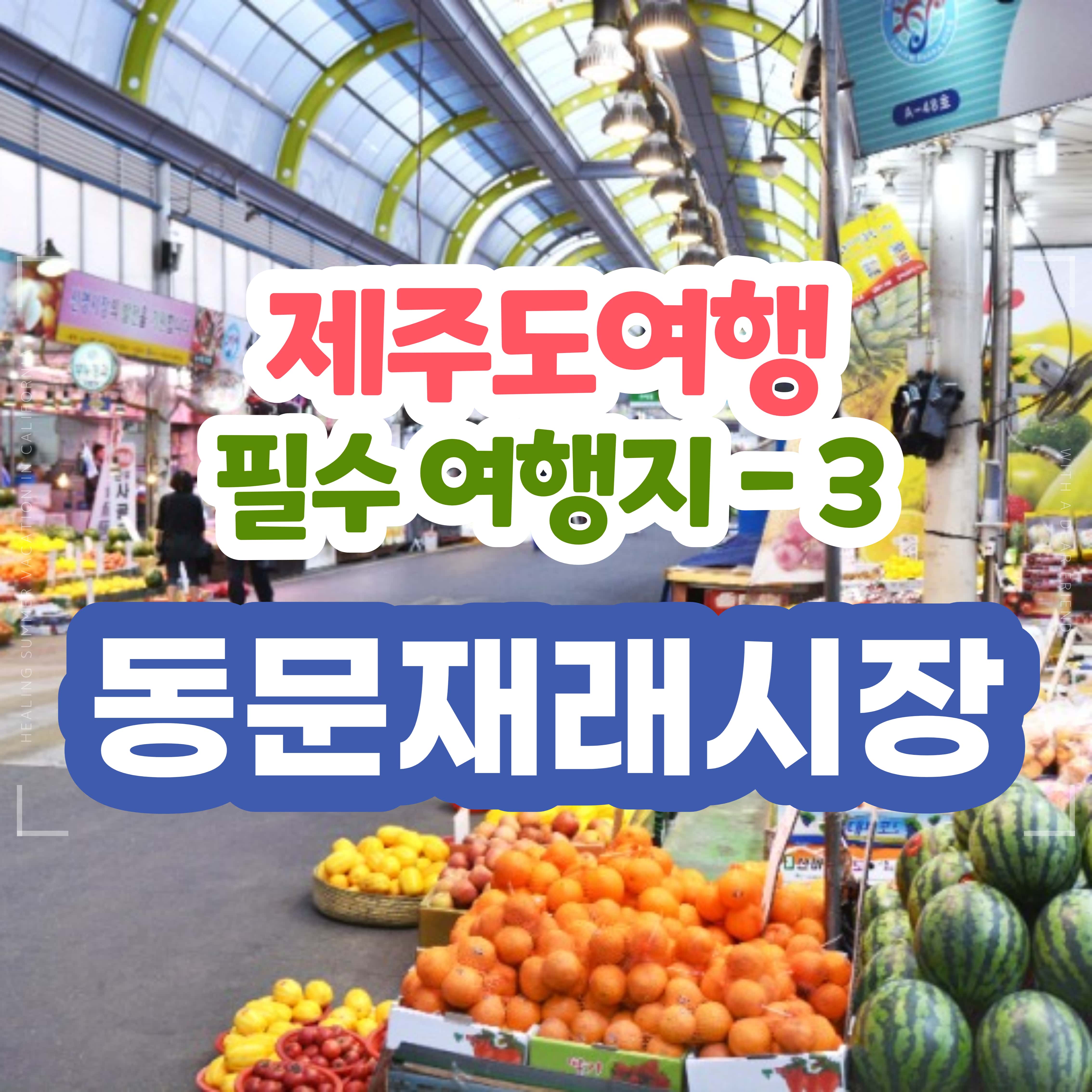  [제주도 필수 여행지] 3. 제주 동문시장, 동문재래시장 feat.동문시장 주차장 위치 및 요금