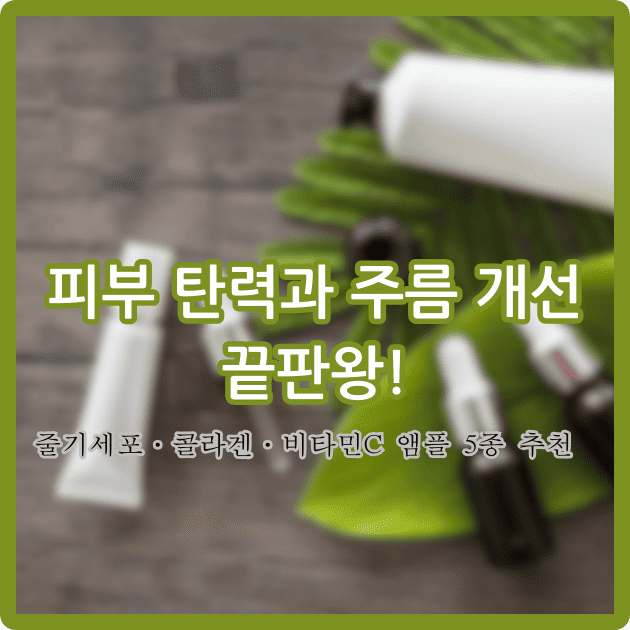 피부 탄력 및 주름 개선 앰플