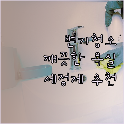 깨끗한 욕실을 위한 선택! 변기 세정