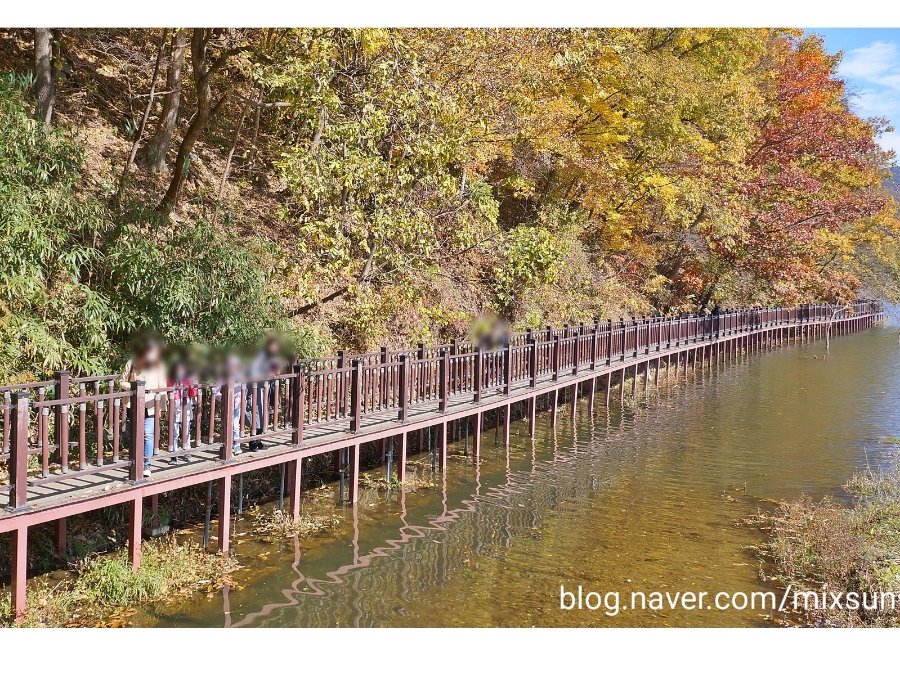단풍구경 가볼만한 곳 괴산 가볼만한곳 7