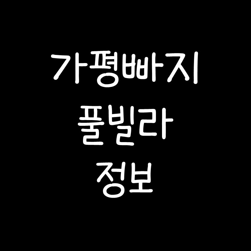  가평 빠지 풀빌라 정보