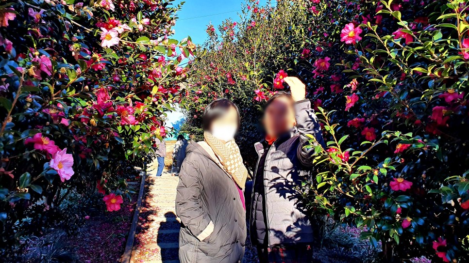 제주도대형버스대절