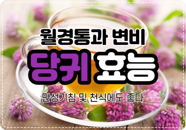  당귀 当归는 월경통과 변비 만성 기침 및 천식에도 좋은 작용을 한다