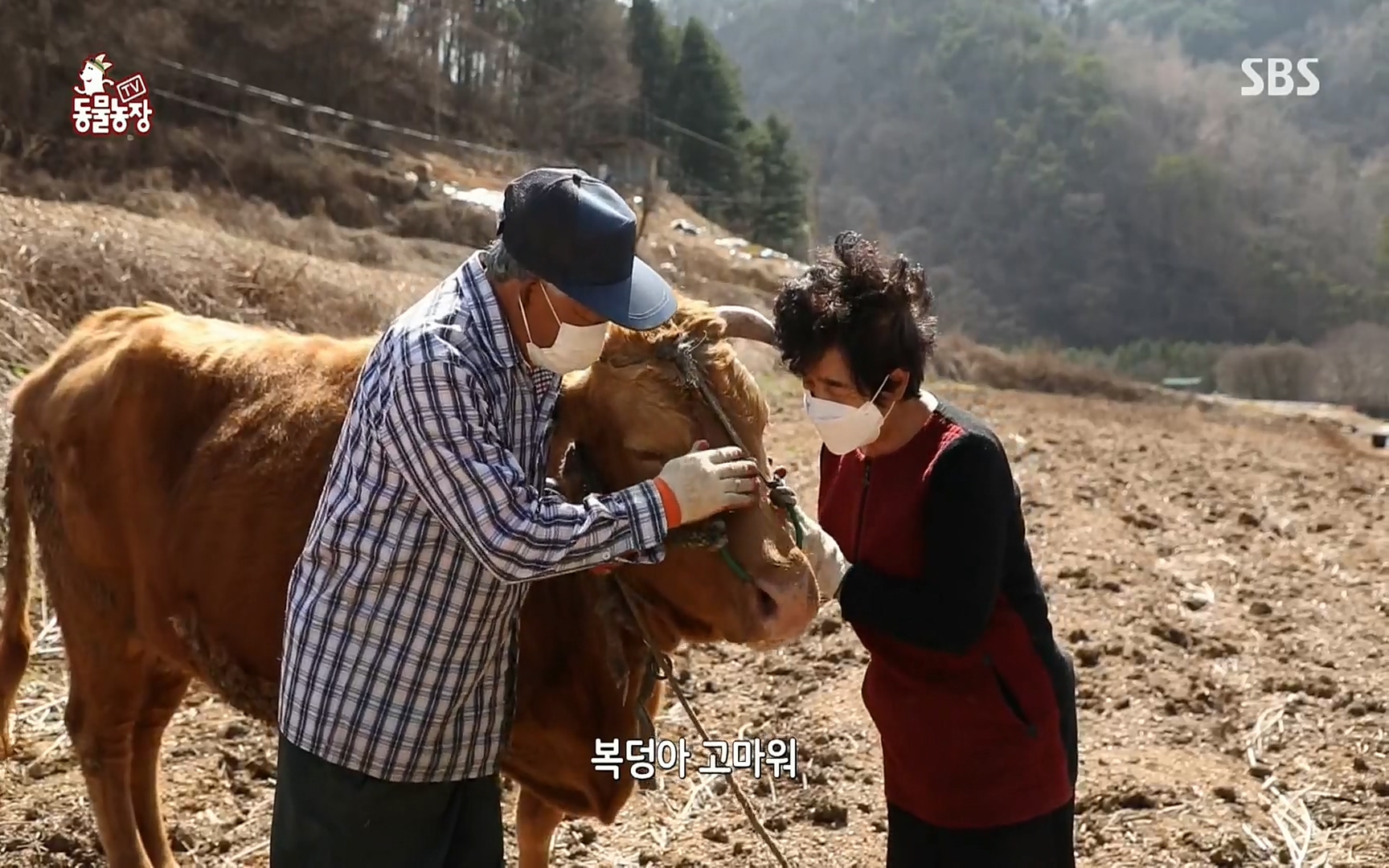 TV 동물농장.E1067.220501p.H264-F1RST.mp4_20220501_183351.029.jpg
