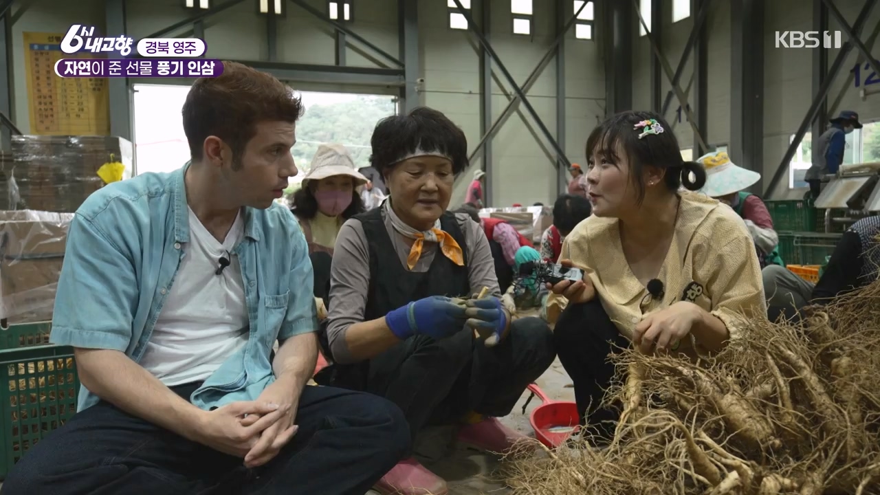6시 내고향.E7888.230926p-NEXT.mp4_20230926_214713.455.jpg