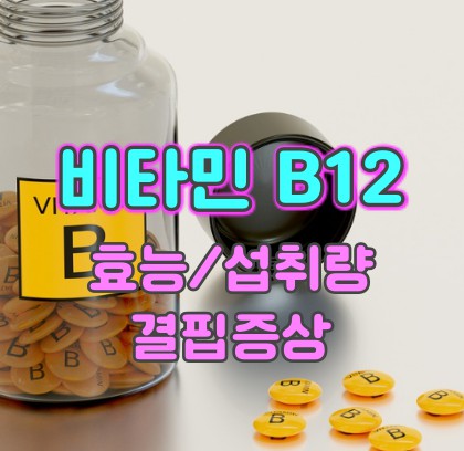 비타민-b12-효능-섭취
