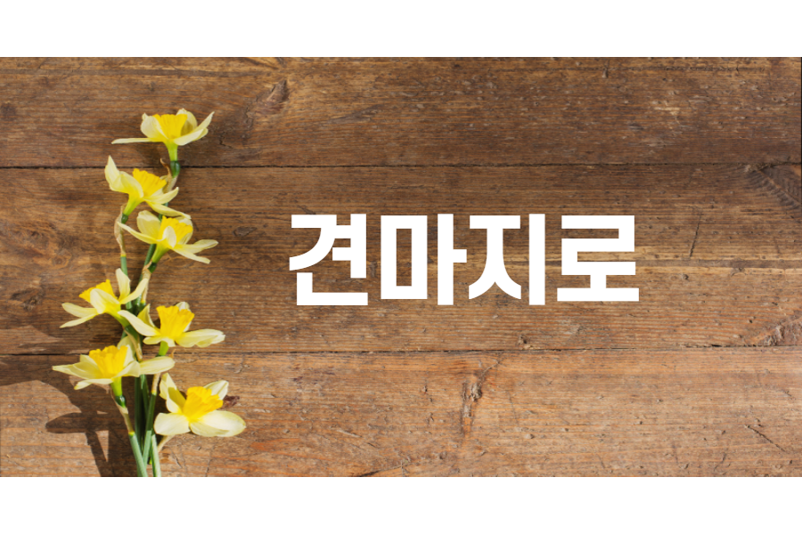  견마지로 (犬馬之勞) 어떤 뜻을 갖고 있는 사자성어 일까?