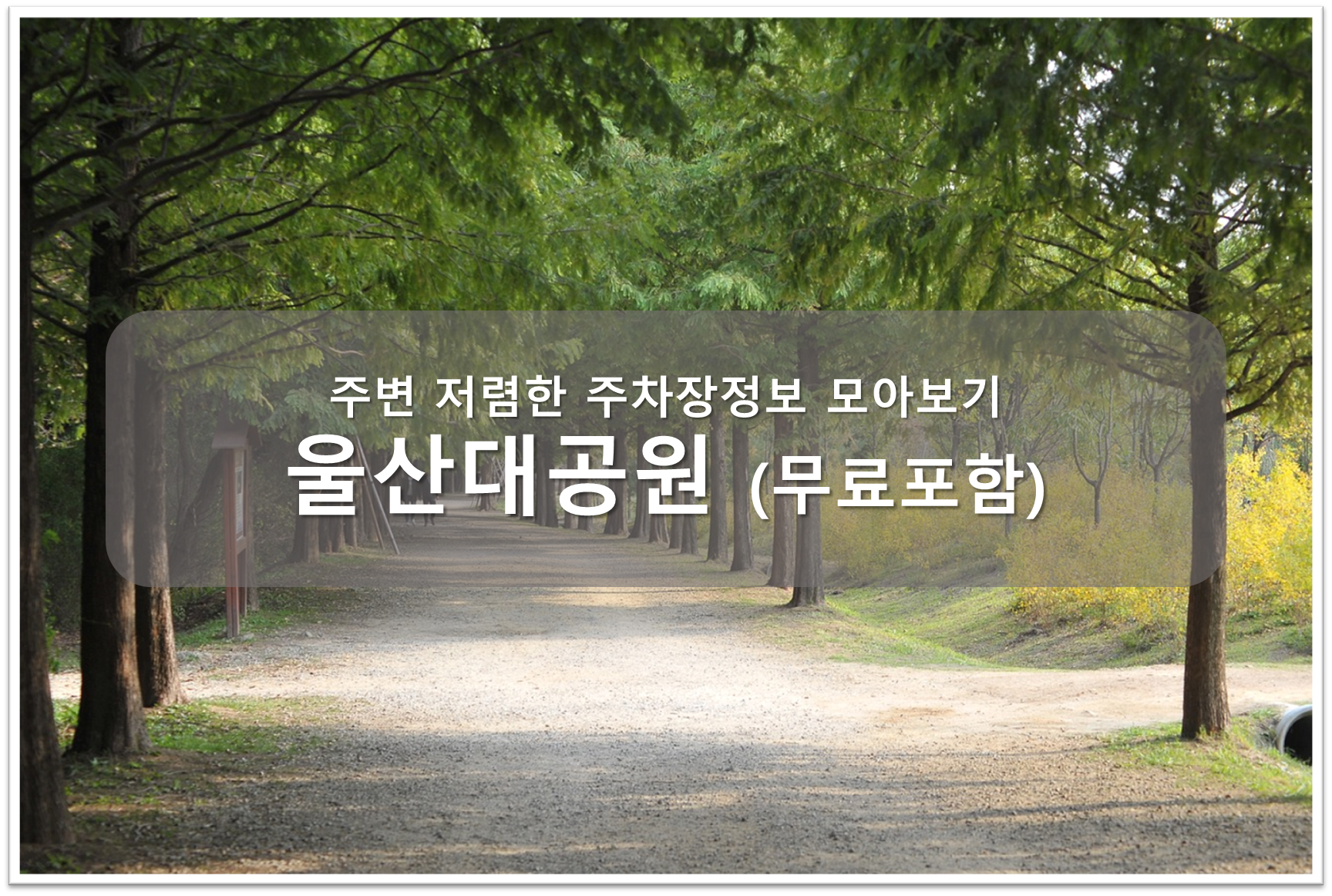 울산대공원 주차장 안내