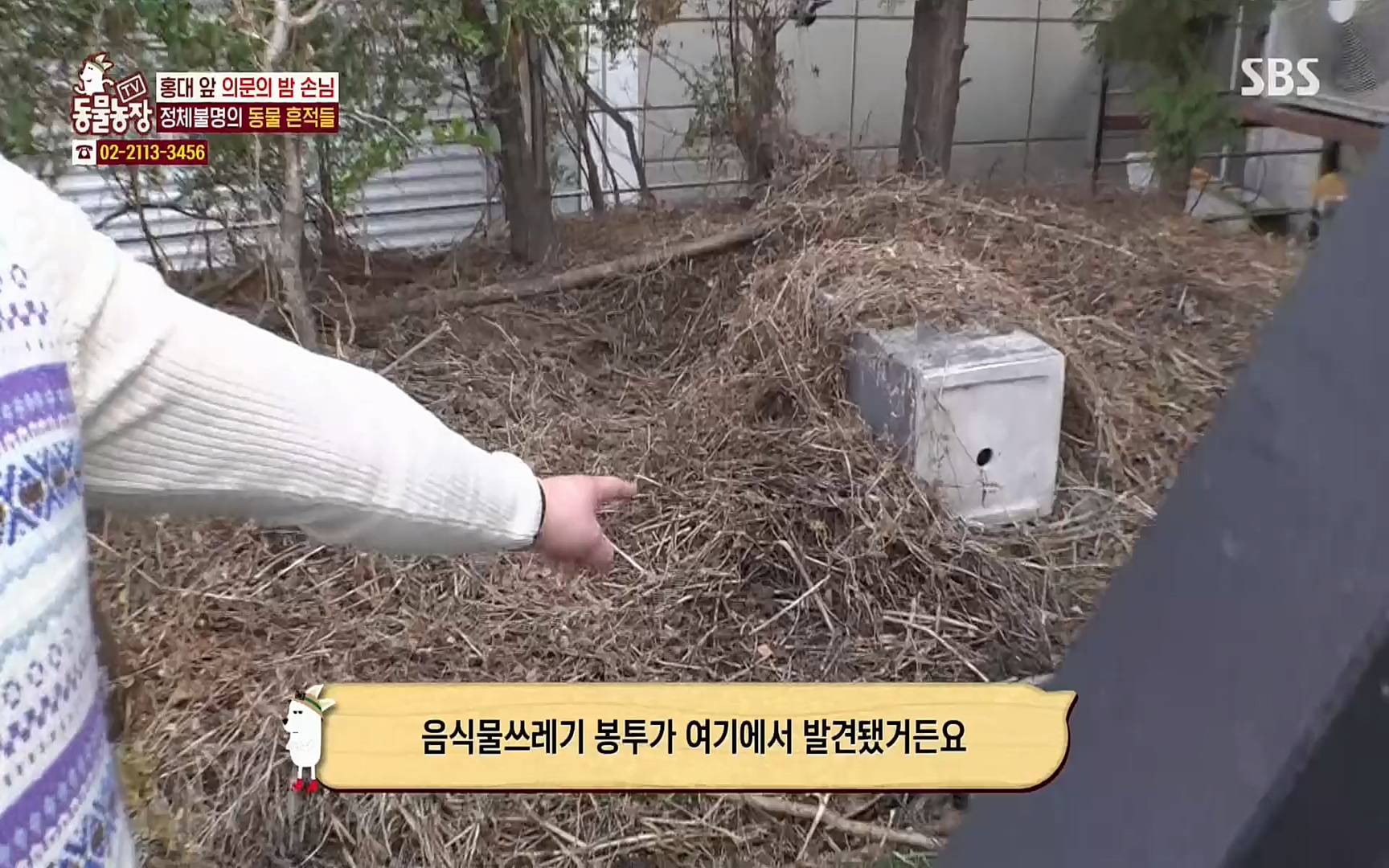 TV 동물농장.E1066.220424p.H264-F1RST.mp4_20220424_201023.571.jpg