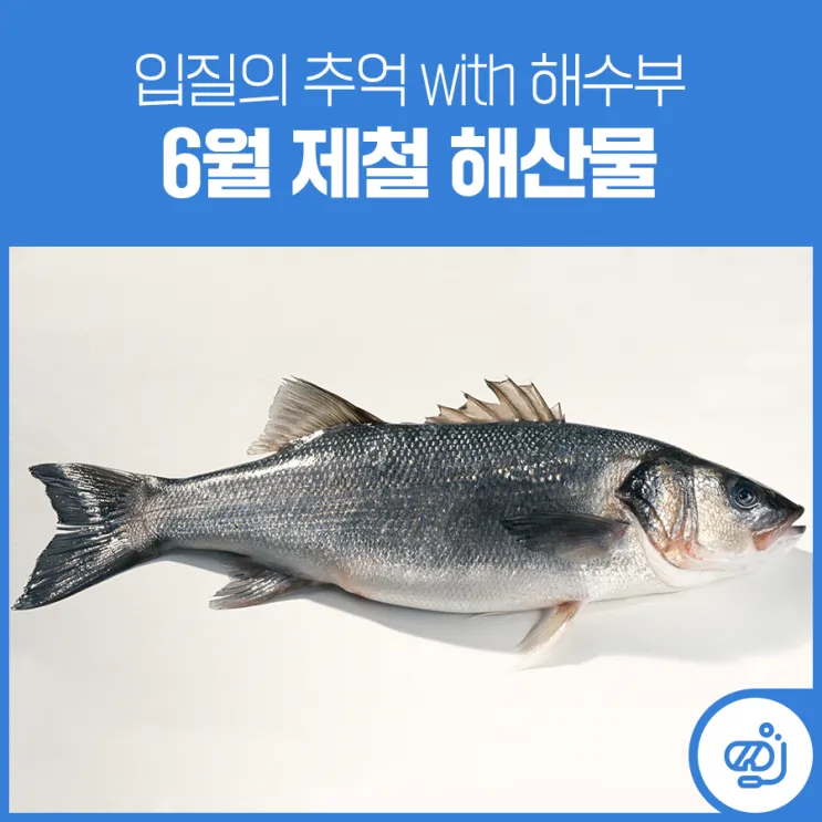 6월 제철 음식 추천 종류_6