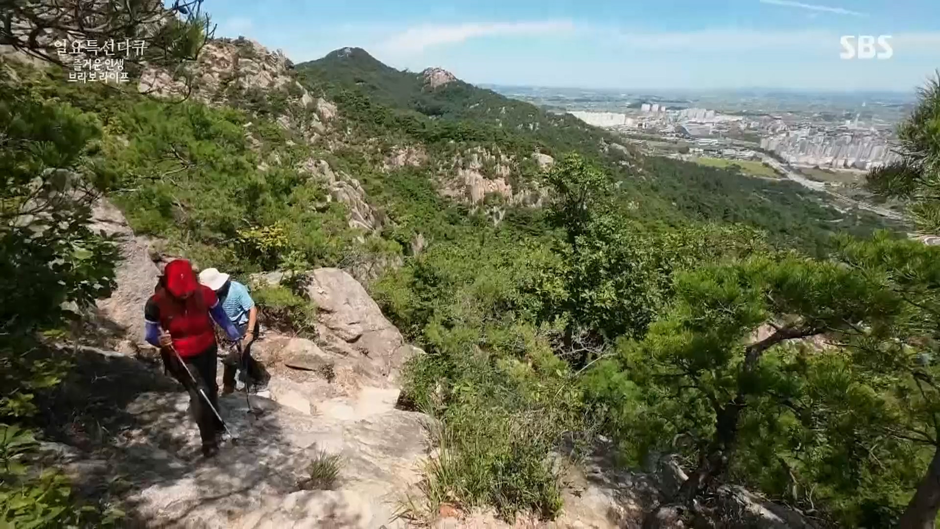 일요 특선 다큐멘터리.E292.221016p.H264-F1RST.mp4_20221018_183626.776.jpg