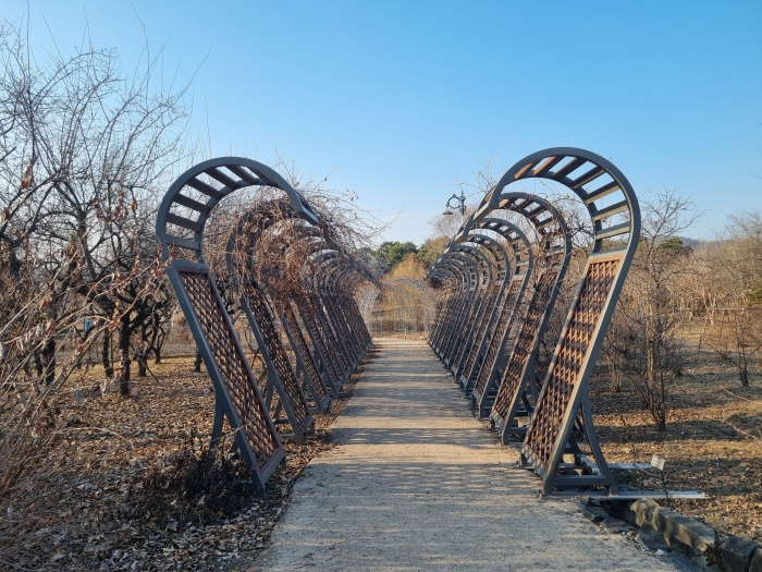 덩굴원