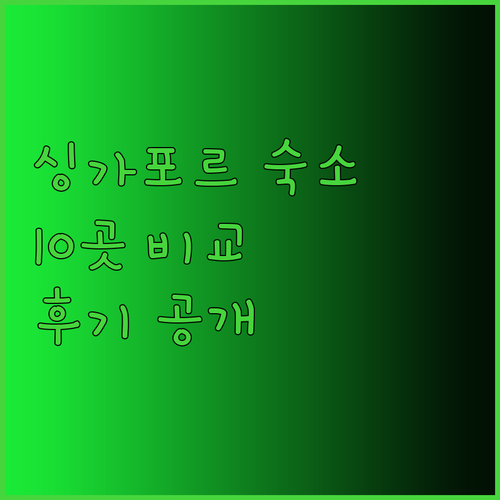 싱가포르 여행 숙소 고민.. 10곳 