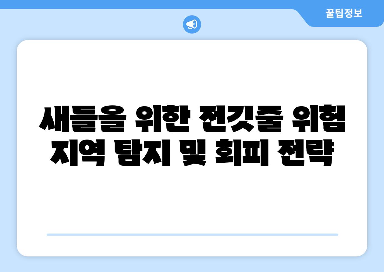 새들을 위한 전깃줄 위험 지역 탐지 및 회피 전략