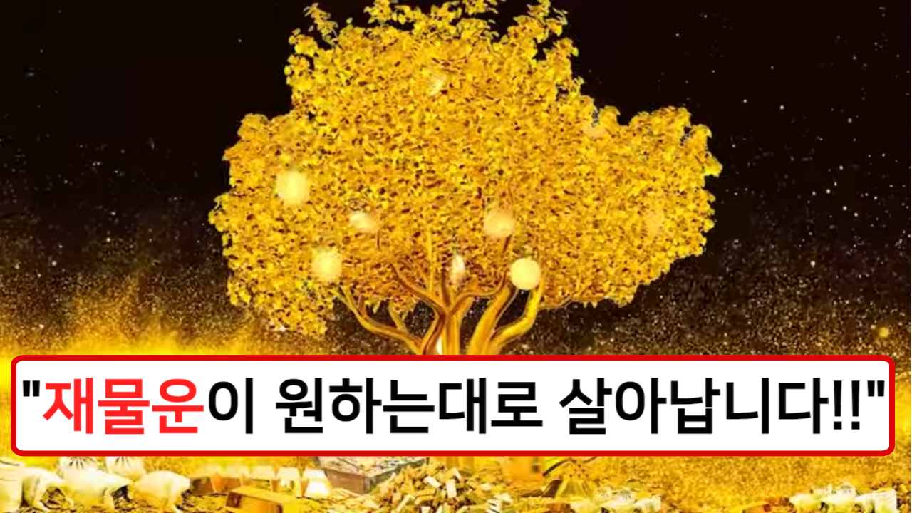 "재물운이 원하는데로 살아납니다!!" 재물운 팍!팍! 불러오는 5가지 식물 공개