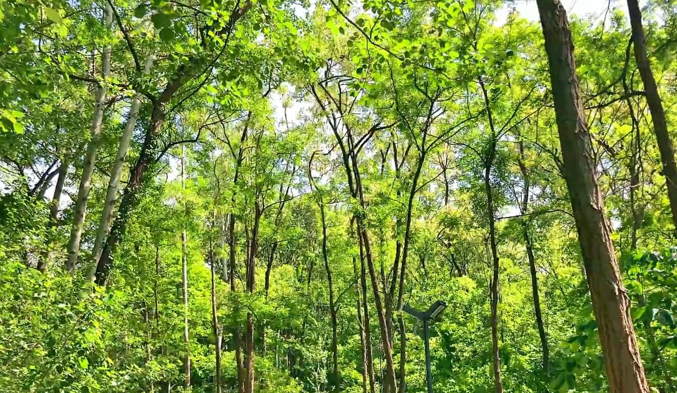 진천만뢰산-자연생태공원