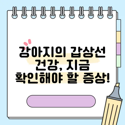 강아지의 갑상선 건강, 지금 확인해야 할 증상!