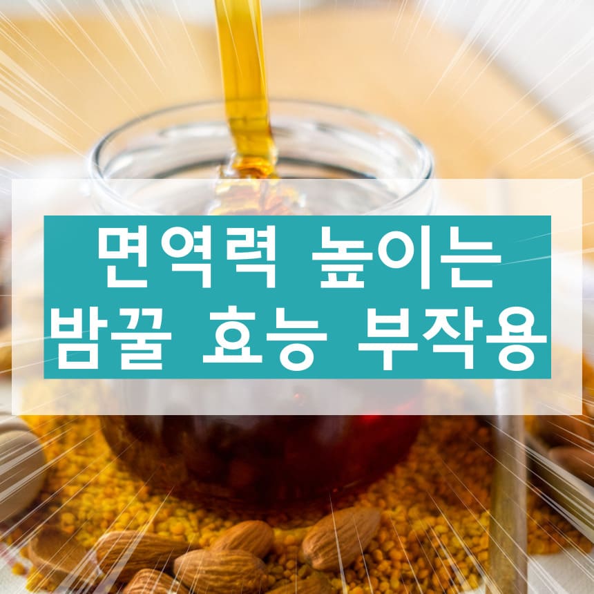 밤꿀의 효능과 부작용