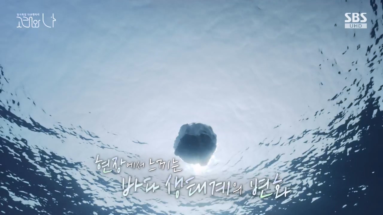 창사특집 다큐멘터리 고래와 나.E02.231126p-NEXT.mp4_20231126_163224.843.jpg