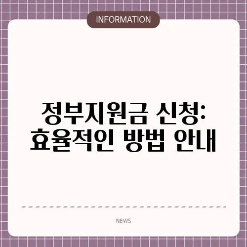 정부지원금 신청: 효율적인 방법 안내