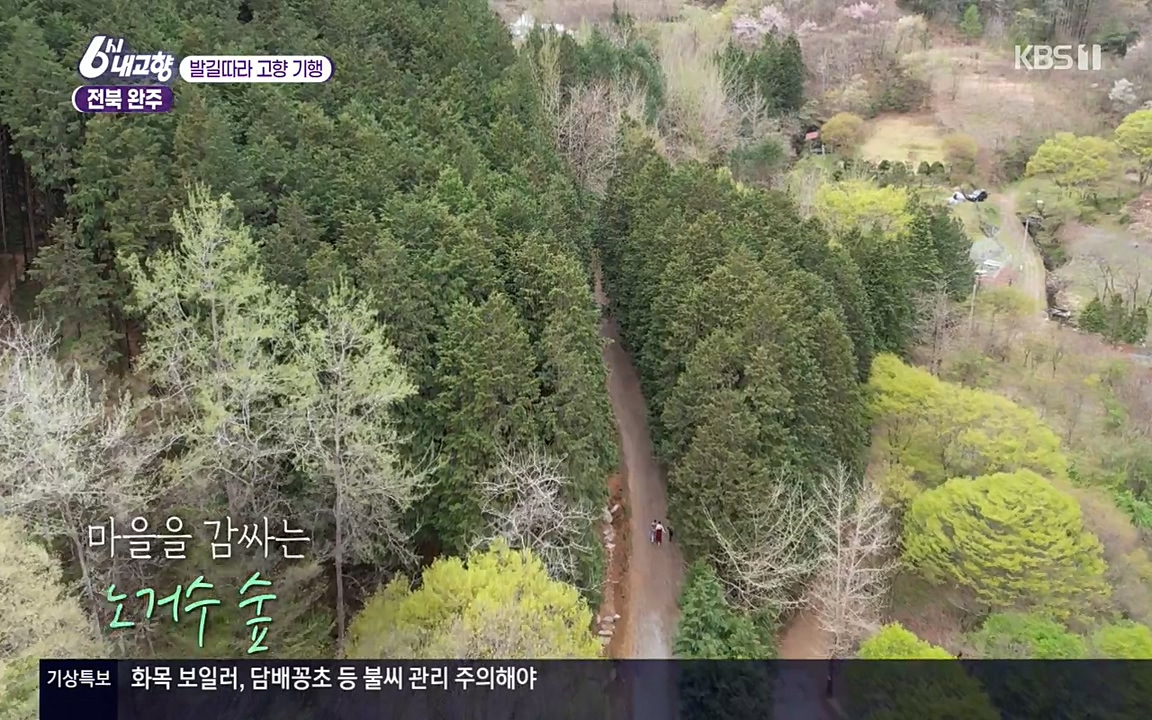 6시 내고향.E7523.220421p-NEXT.mp4_20220507_180422.307.jpg