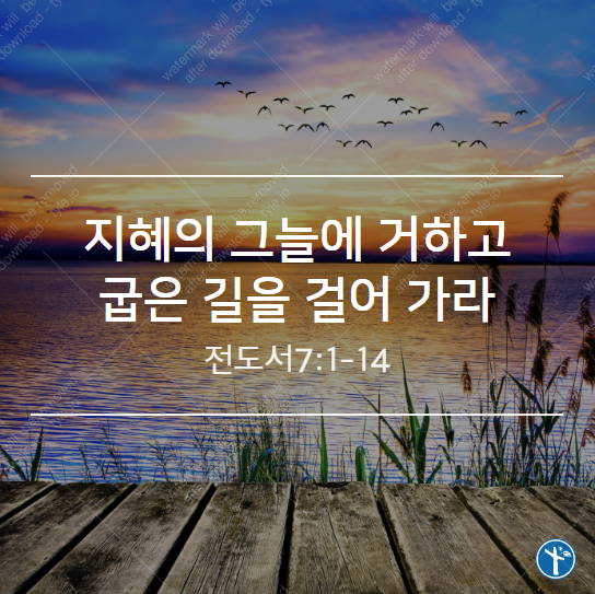  지혜의 그늘에 거하고 굽은 길을 걸어 가라!