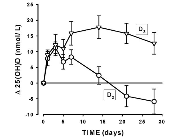 시간에 따른 비타민 D 체내 잔류량. D2는 식물성 비타민 D&#44; D3는 동물성 비타민 D. 동물성 비타민 D가 체내에 더 오래 남아 있는다.