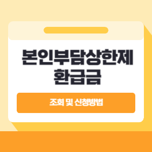 본인부담상한제 환급