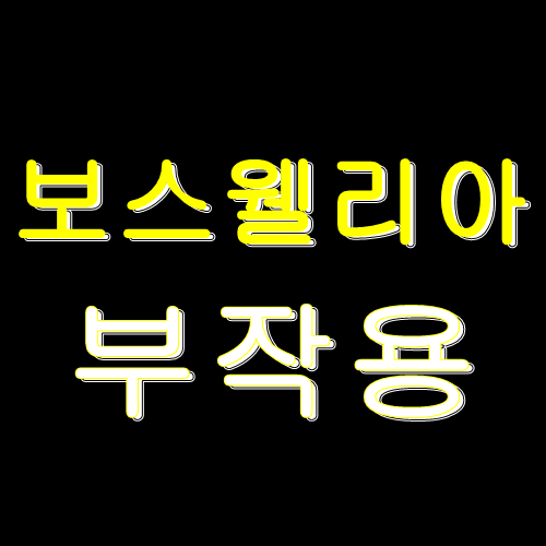  보스웰리아 부작용 3가지