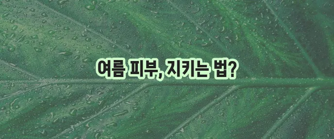 여름철 피부관리 아름다운 피부를 위한 필수 가이드입니다!